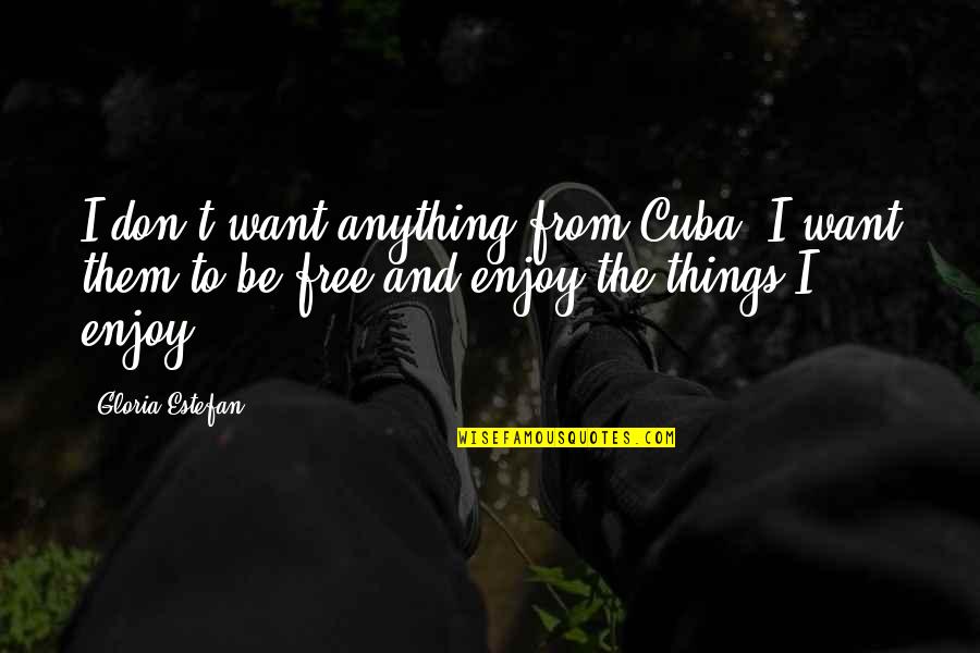 Vacation Finished Quotes By Gloria Estefan: I don't want anything from Cuba. I want