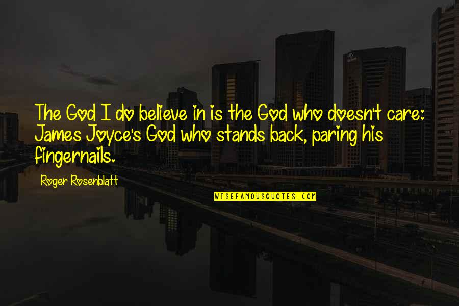 Vacation Postcards Quotes By Roger Rosenblatt: The God I do believe in is the