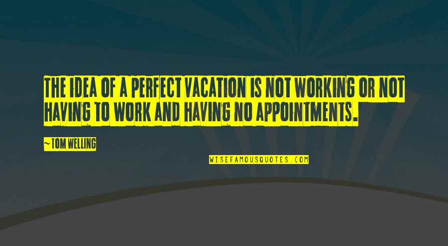 Vacation Work Quotes By Tom Welling: The idea of a perfect vacation is not
