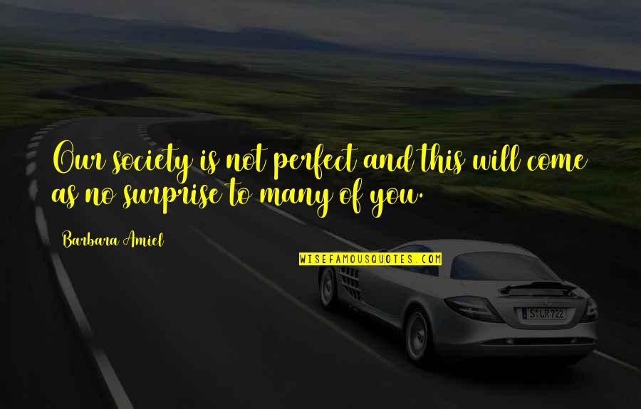 Vaceks Quotes By Barbara Amiel: Our society is not perfect and this will