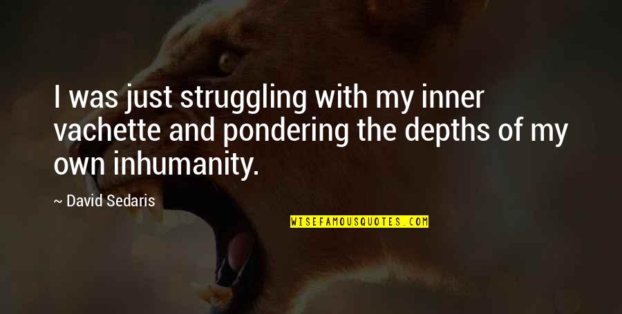 Vachette Quotes By David Sedaris: I was just struggling with my inner vachette