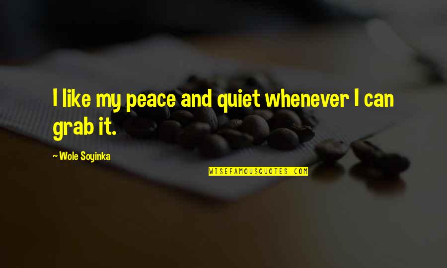 Vacia Detox Quotes By Wole Soyinka: I like my peace and quiet whenever I