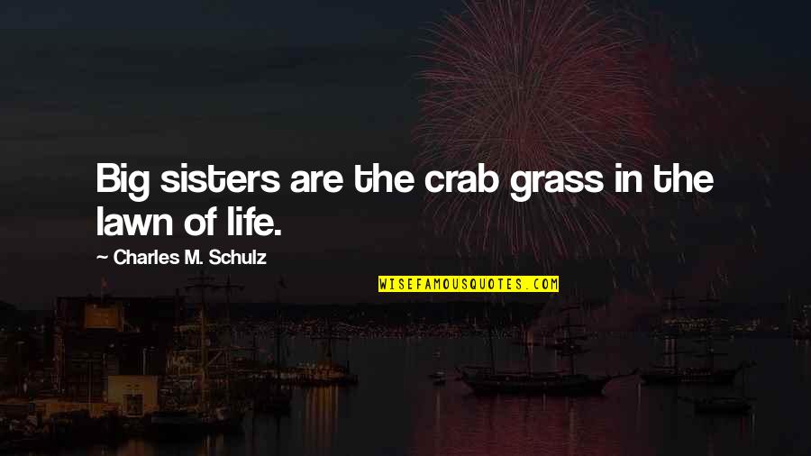 Vacillating Pronunciation Quotes By Charles M. Schulz: Big sisters are the crab grass in the