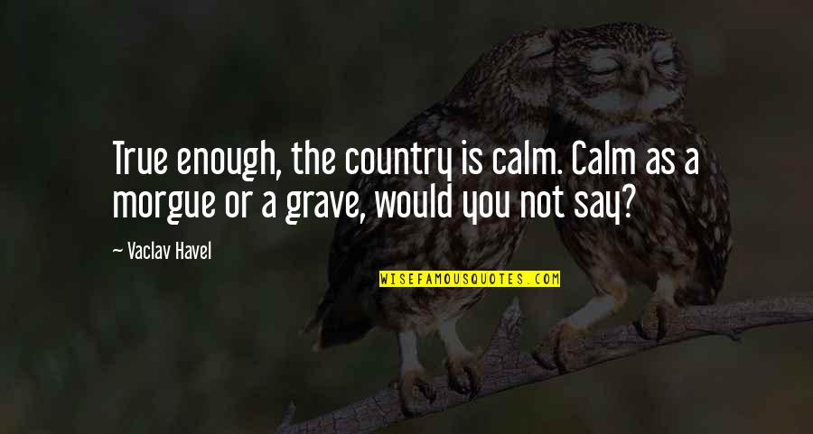 Vaclav's Quotes By Vaclav Havel: True enough, the country is calm. Calm as