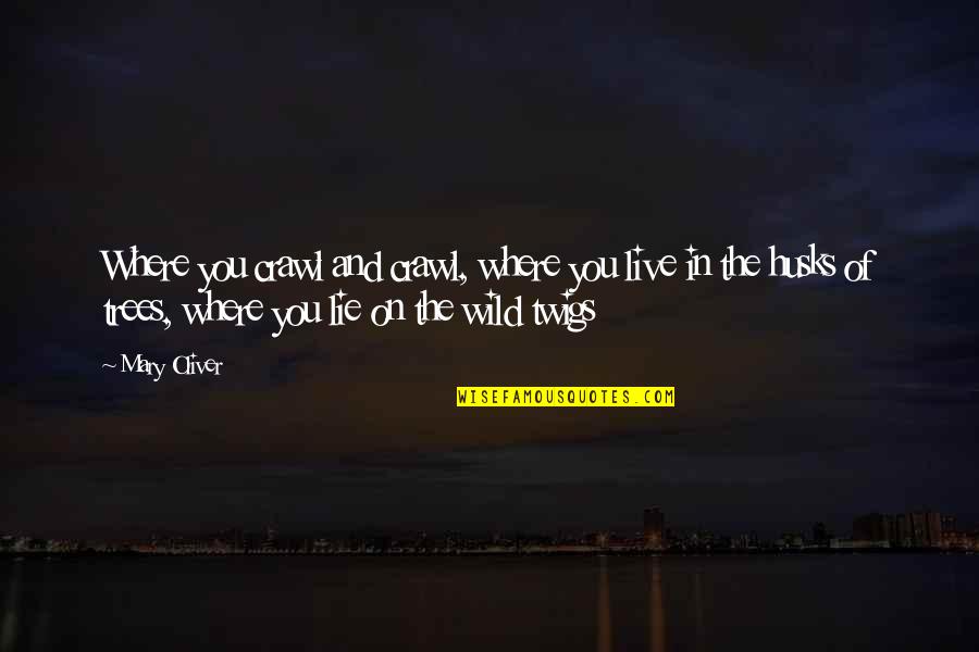 Vad Betyder Quotes By Mary Oliver: Where you crawl and crawl, where you live