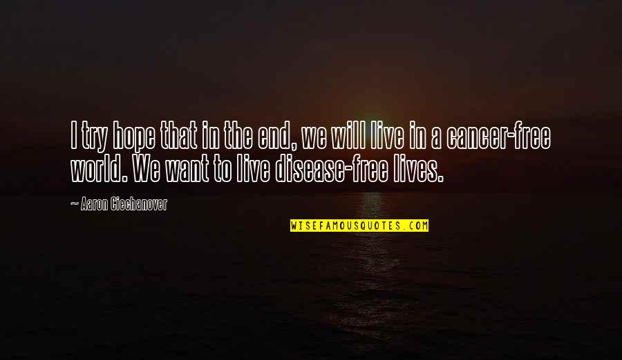 Vada Pav Quotes By Aaron Ciechanover: I try hope that in the end, we Vada Pav Quotes By Aaron Ciechanover: I try hope that in the end, we