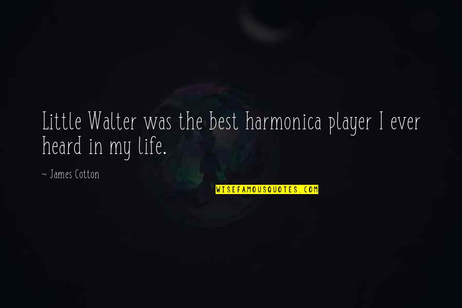 Vaftiz T Reni Quotes By James Cotton: Little Walter was the best harmonica player I