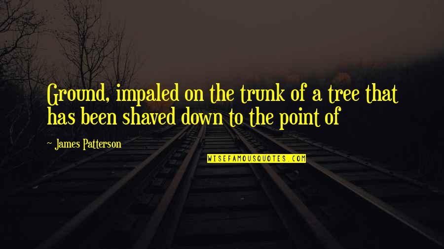 Vagamente Lyrics Quotes By James Patterson: Ground, impaled on the trunk of a tree