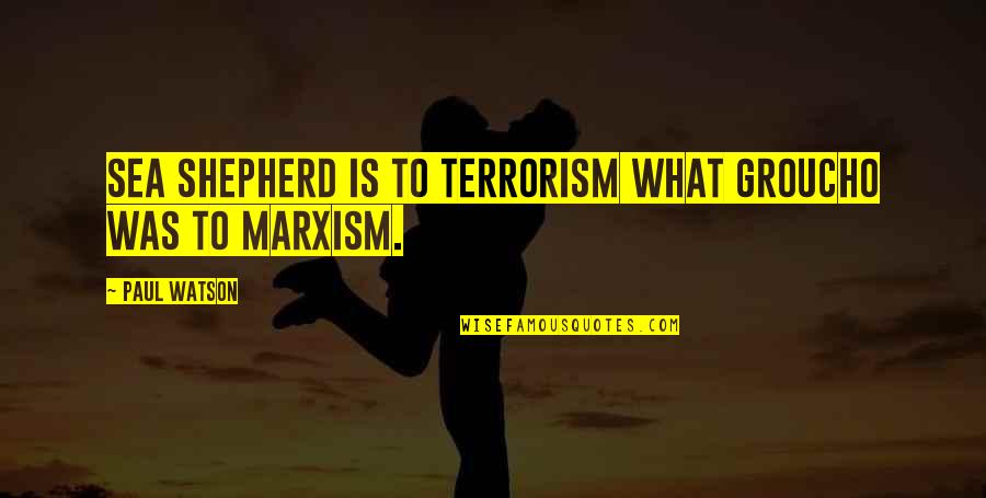 Vaggelis Bonaros Quotes By Paul Watson: Sea Shepherd is to terrorism what Groucho was