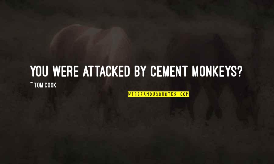 Vagostabili Quotes By Tom Cook: you were attacked by cement monkeys?