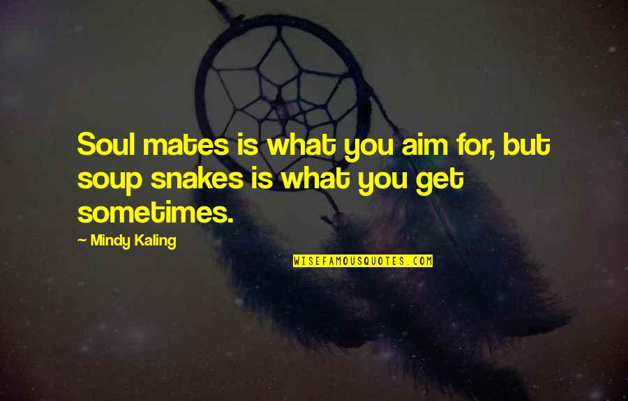 Vagrant Story Quotes By Mindy Kaling: Soul mates is what you aim for, but