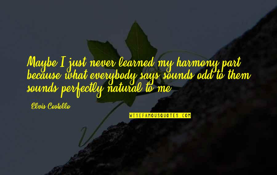 Vague Love Quotes By Elvis Costello: Maybe I just never learned my harmony part,