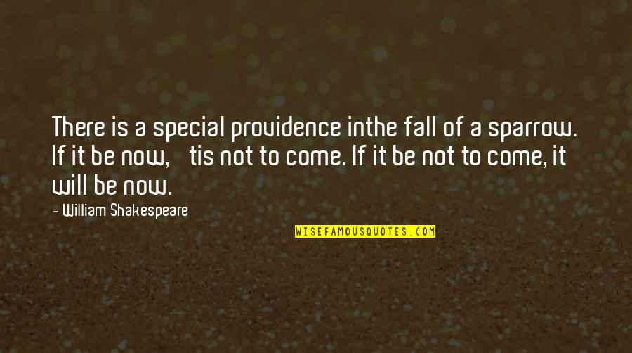 Vaguer Quotes By William Shakespeare: There is a special providence inthe fall of