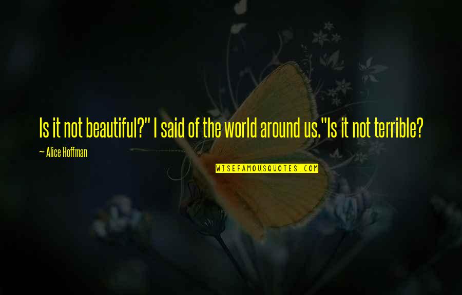 Vagys Kaune Quotes By Alice Hoffman: Is it not beautiful?" I said of the