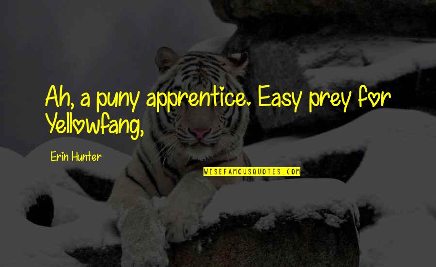 Vahan 4 Quotes By Erin Hunter: Ah, a puny apprentice. Easy prey for Yellowfang,