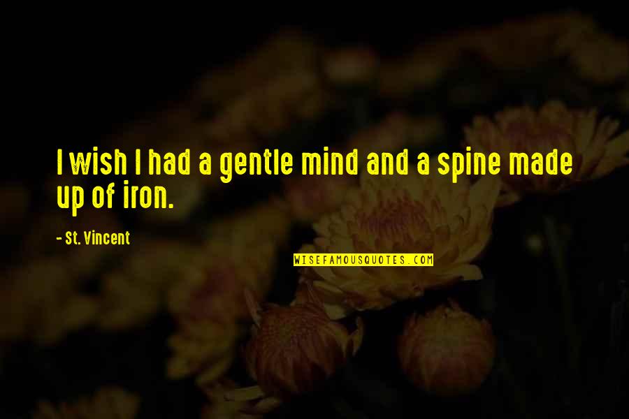 Vahlen Quotes By St. Vincent: I wish I had a gentle mind and