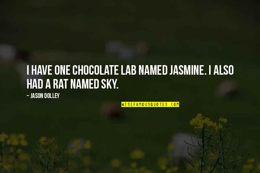 Vahrenwalder Quotes By Jason Dolley: I have one chocolate Lab named Jasmine. I