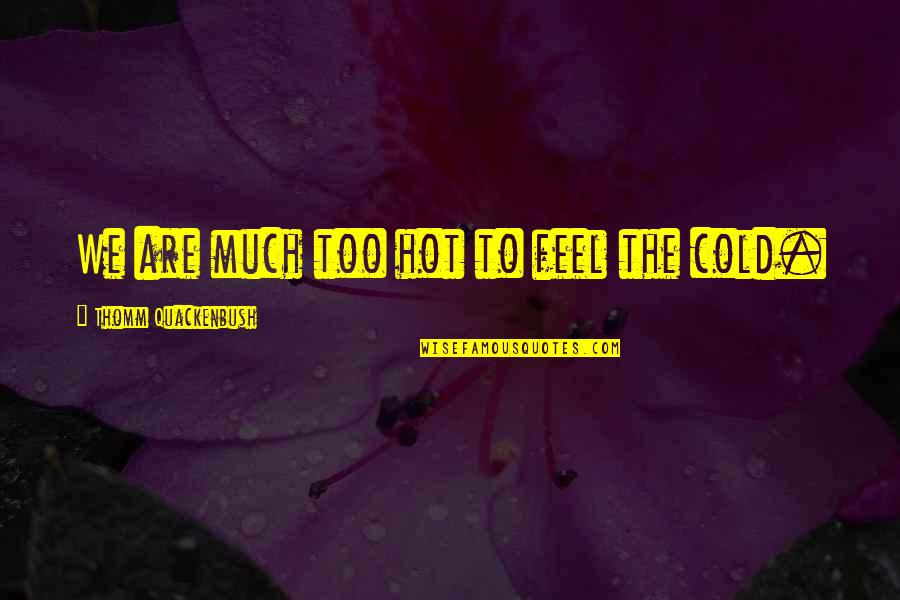 Vahrenwalder Quotes By Thomm Quackenbush: We are much too hot to feel the Vahrenwalder Quotes By Thomm Quackenbush: We are much too hot to feel the
