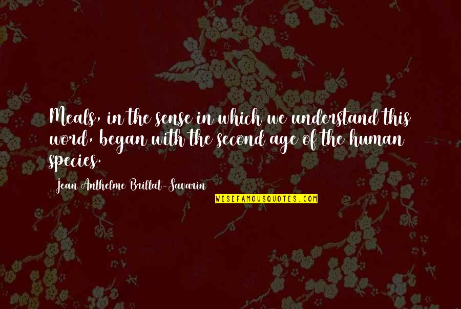 Vahyin Ne Quotes By Jean Anthelme Brillat-Savarin: Meals, in the sense in which we understand