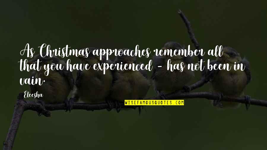 Vain Quotes And Quotes By Eleesha: As Christmas approaches remember all that you have