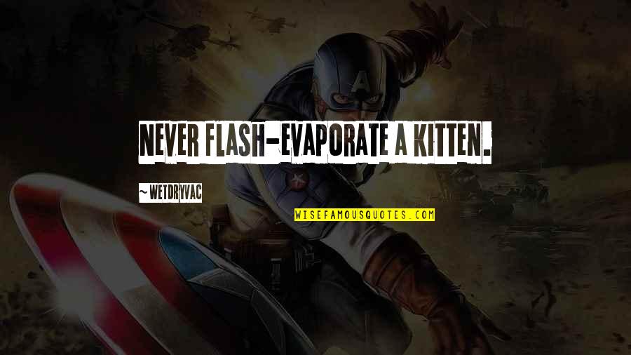 Vaisman Sofia Quotes By Wetdryvac: Never flash-evaporate a kitten.