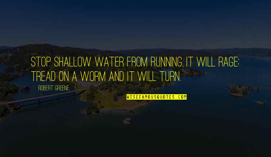 Vajirao Quotes By Robert Greene: Stop shallow water from running, it will rage;