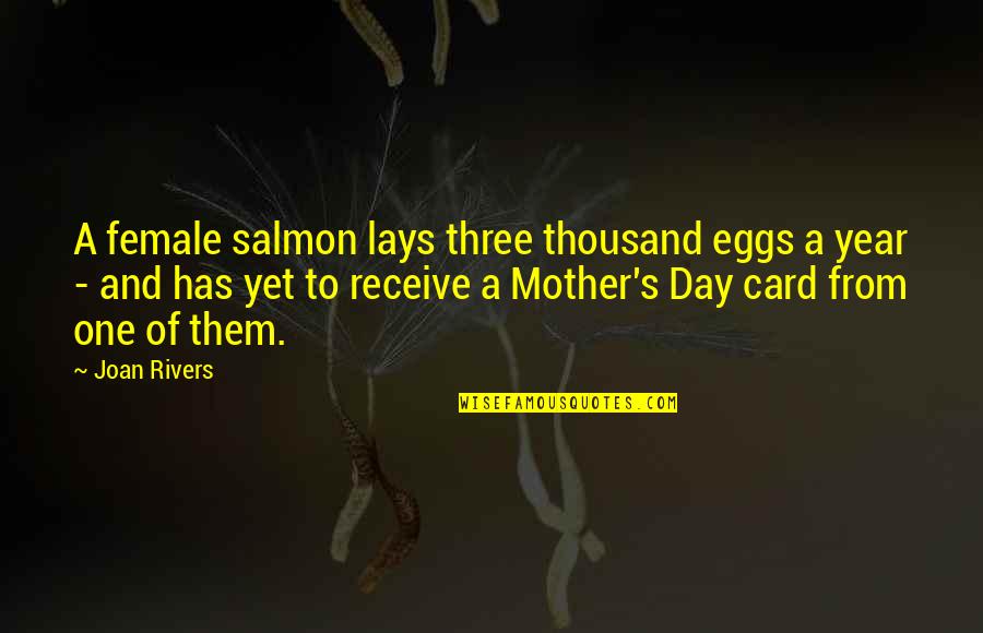 Vak T Napf Nyben Teljes Film Quotes By Joan Rivers: A female salmon lays three thousand eggs a Vak T Napf Nyben Teljes Film Quotes By Joan Rivers: A female salmon lays three thousand eggs a