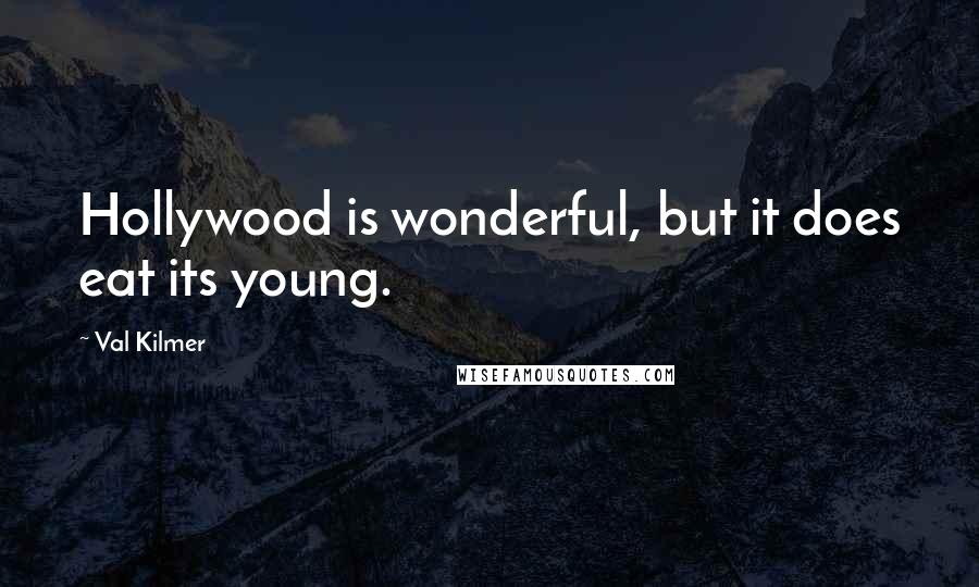 Val Kilmer quotes: Hollywood is wonderful, but it does eat its young.