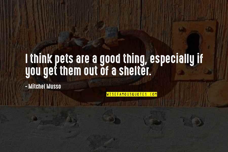 Val Riane Quotes By Mitchel Musso: I think pets are a good thing, especially