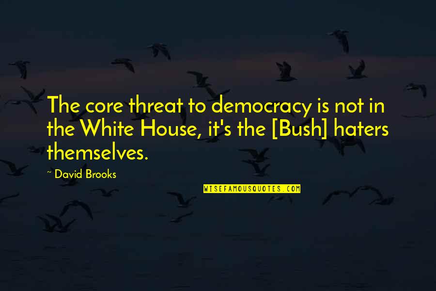 Valassis Deer Quotes By David Brooks: The core threat to democracy is not in