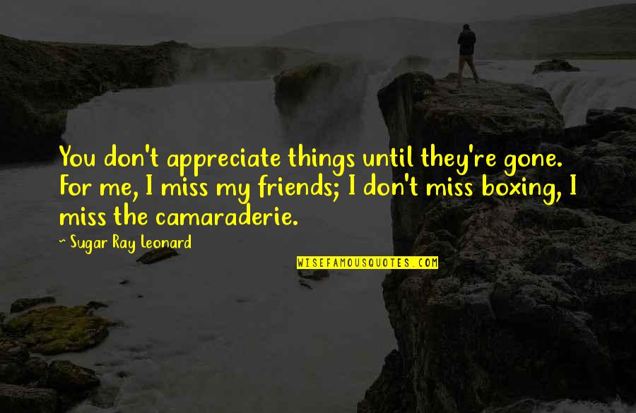 Valastro Sisters Quotes By Sugar Ray Leonard: You don't appreciate things until they're gone. For Valastro Sisters Quotes By Sugar Ray Leonard: You don't appreciate things until they're gone. For