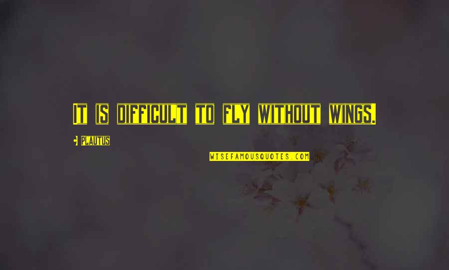 Valboski Quotes By Plautus: It is difficult to fly without wings.