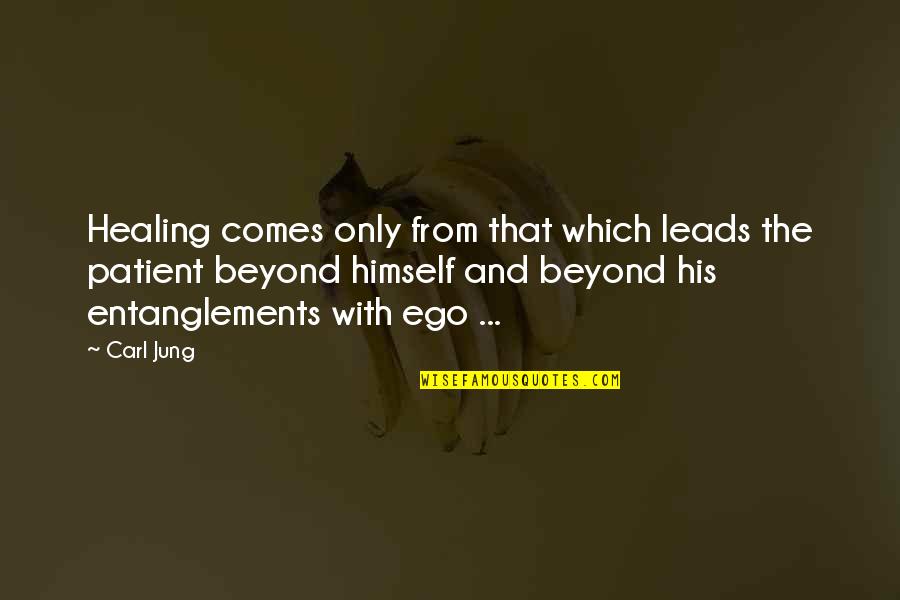 Valentine Penguin Quotes By Carl Jung: Healing comes only from that which leads the