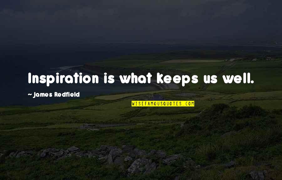 Valentine Specials Quotes By James Redfield: Inspiration is what keeps us well.