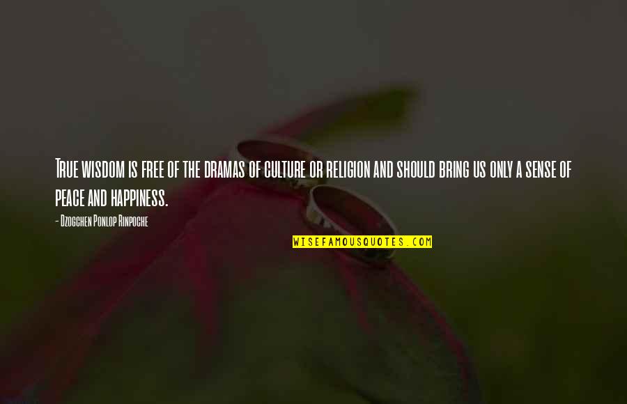 Valentine's Day Fun Quotes By Dzogchen Ponlop Rinpoche: True wisdom is free of the dramas of Valentine's Day Fun Quotes By Dzogchen Ponlop Rinpoche: True wisdom is free of the dramas of