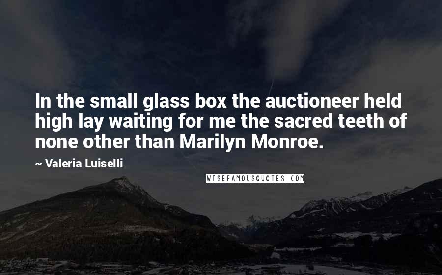 Valeria Luiselli quotes: In the small glass box the auctioneer held high lay waiting for me the sacred teeth of none other than Marilyn Monroe.