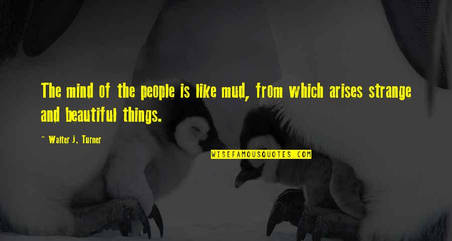 Valerian Schoolmaster Quotes By Walter J. Turner: The mind of the people is like mud, Valerian Schoolmaster Quotes By Walter J. Turner: The mind of the people is like mud,