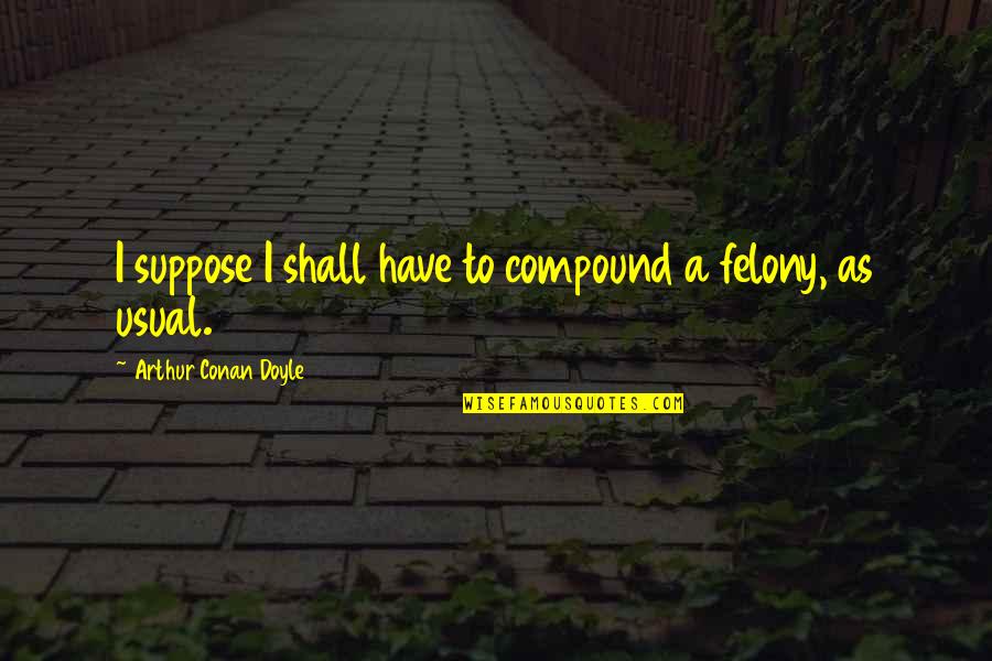 Valetta Quotes By Arthur Conan Doyle: I suppose I shall have to compound a Valetta Quotes By Arthur Conan Doyle: I suppose I shall have to compound a