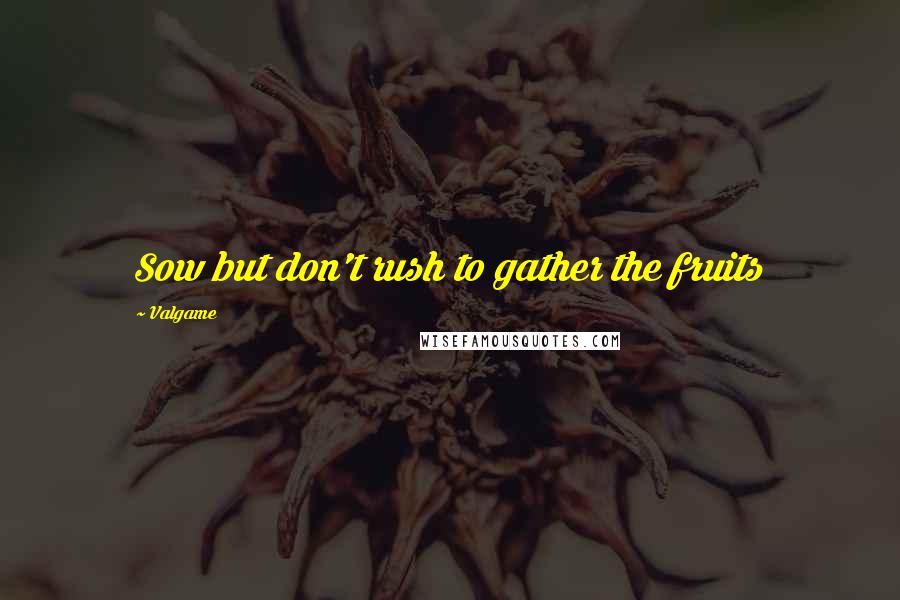 Valgame quotes: Sow but don't rush to gather the fruits