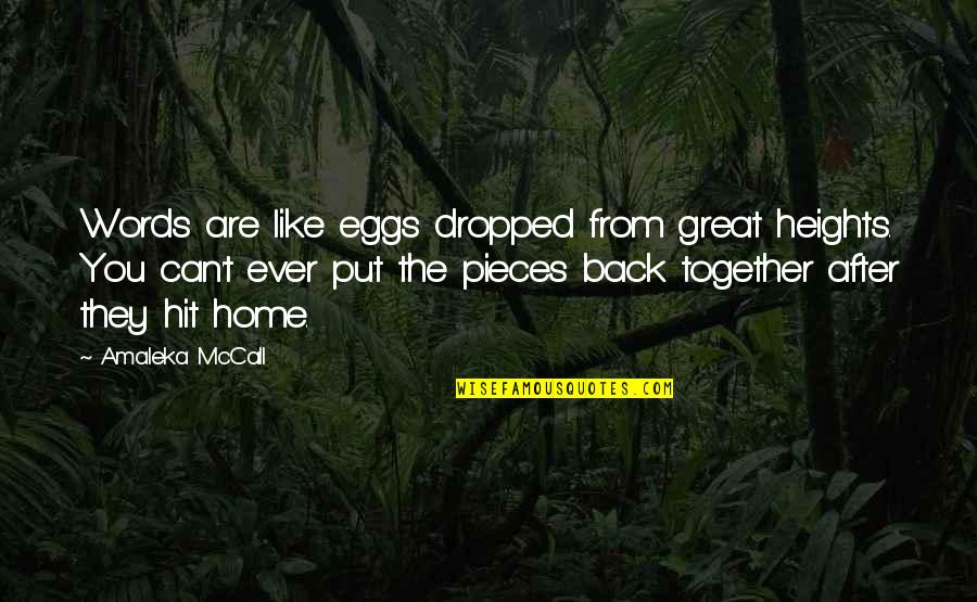 Valises Quotes By Amaleka McCall: Words are like eggs dropped from great heights.