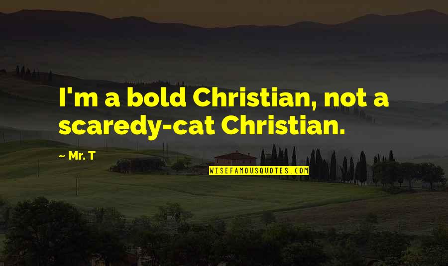Valkenburgh Quotes By Mr. T: I'm a bold Christian, not a scaredy-cat Christian.