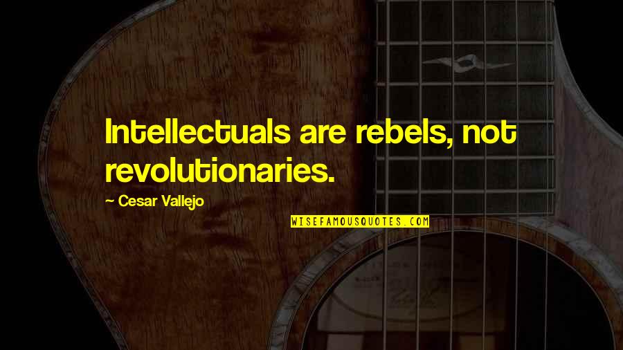 Vallejo Quotes By Cesar Vallejo: Intellectuals are rebels, not revolutionaries.