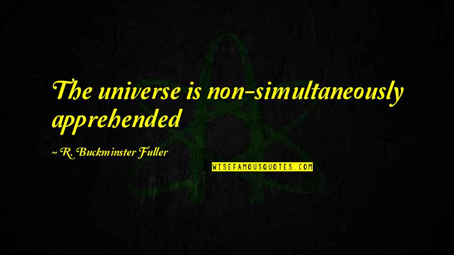 Valley Of Dry Bones Quotes By R. Buckminster Fuller: The universe is non-simultaneously apprehended Valley Of Dry Bones Quotes By R. Buckminster Fuller: The universe is non-simultaneously apprehended