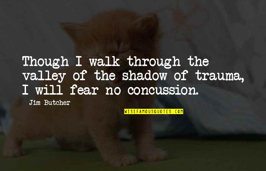 Valley Of Fear Quotes By Jim Butcher: Though I walk through the valley of the