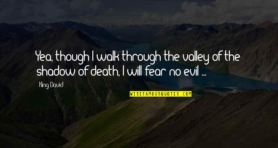Valley Of Fear Quotes By King David: Yea, though I walk through the valley of