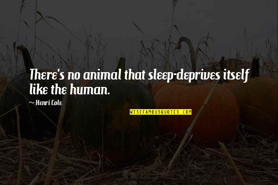 Valleyed Quotes By Henri Cole: There's no animal that sleep-deprives itself like the