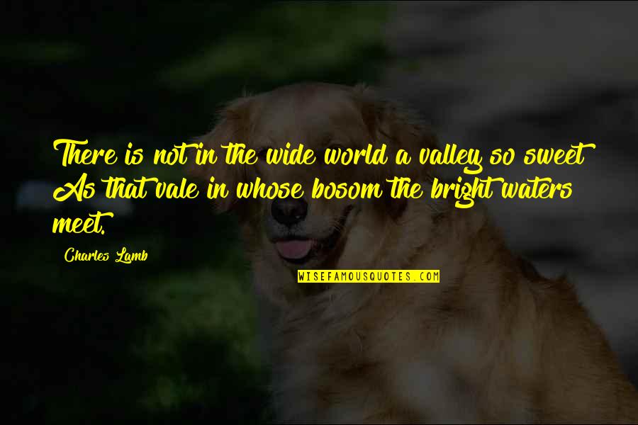 Valleys Best Quotes By Charles Lamb: There is not in the wide world a