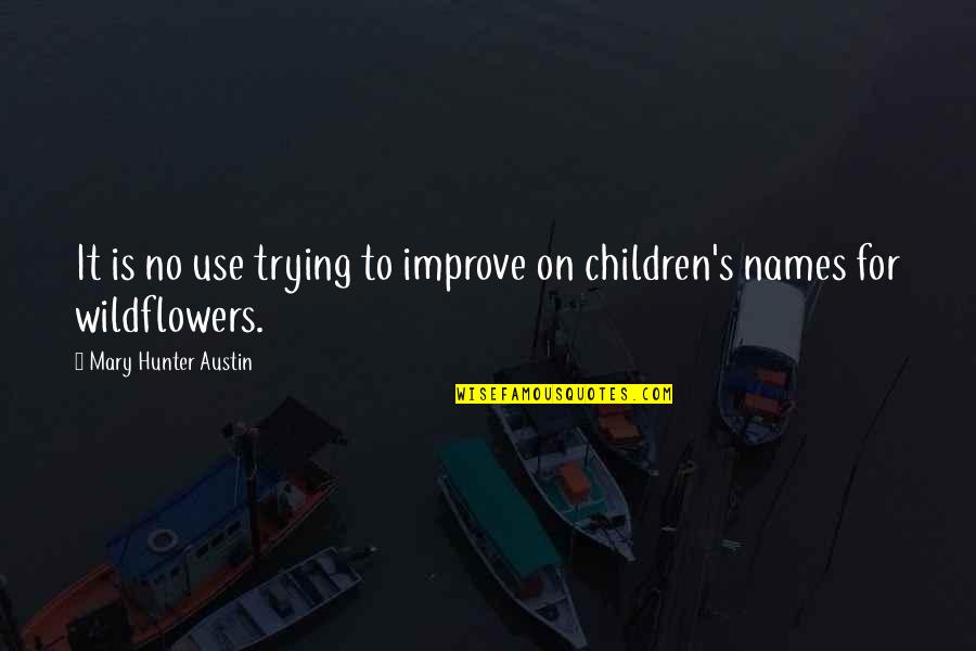 Vally Quotes By Mary Hunter Austin: It is no use trying to improve on