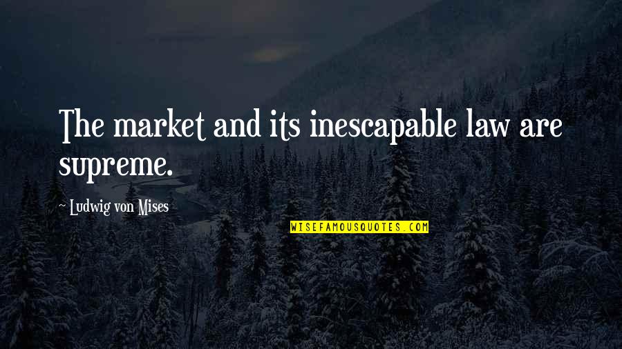 Valtorta Decor Quotes By Ludwig Von Mises: The market and its inescapable law are supreme. Valtorta Decor Quotes By Ludwig Von Mises: The market and its inescapable law are supreme.