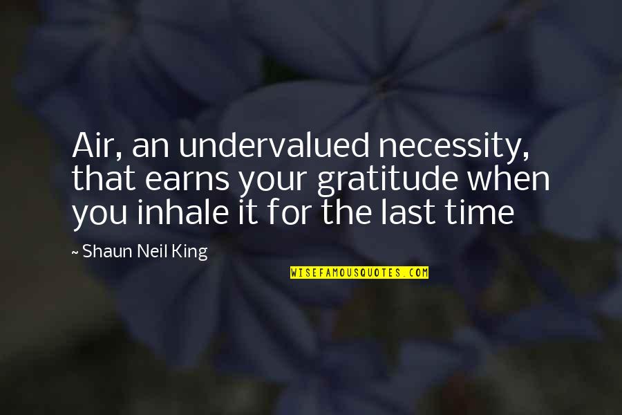Value And Appreciation Quotes By Shaun Neil King: Air, an undervalued necessity, that earns your gratitude